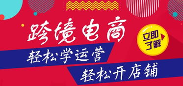 亞馬遜erp定制貼牌oem,個性定制 跨境上貨erp定制