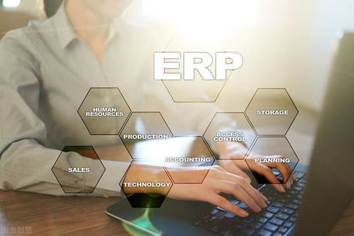 制造業定制erp 出圈 記