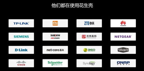 異地遠程連接公司內(nèi)網(wǎng)辦公,oa erp nas 服務(wù)器安全高速訪問