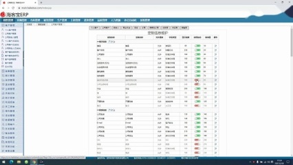 海客寶云ERP之資料定制