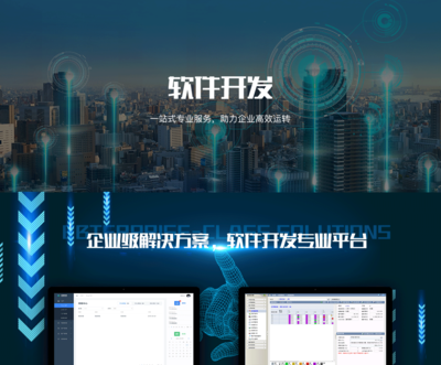 軟件開發協同辦公產品定制開發SaaS管理系統開發業務系統開發